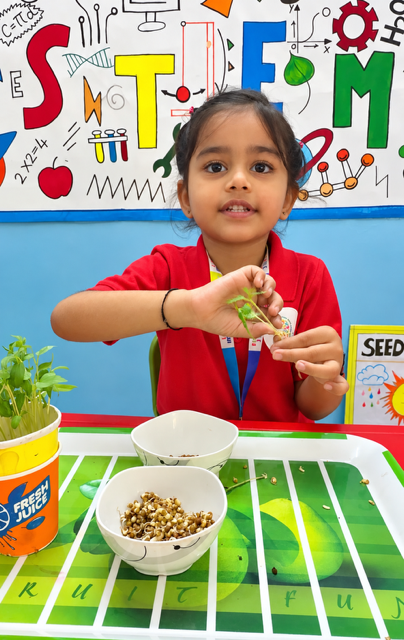 Little Imprints Senior KG Imprints Innovation Lab STEM seed sprouting experiment and scientific inquiry